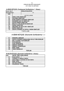 A-GİDER B&Uuml;T&Ccedil;ESİ: (Ekonomik Sınıflandırma 1. D&uuml;zey)