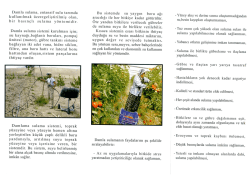 Damla sulama, entansif sulu tarımda