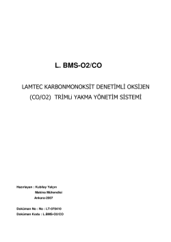 L. BMS-O2/CO - Yakma Teknolojisi için Sensör ve Sistemler