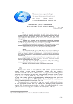 &Uuml;rg&uuml;p Boyalı K&ouml;y&uuml; Cami Mihrabı - Journal of International Social