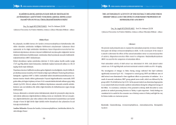 ÖZET (PDF) - Akuademi.Net