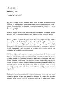 AİLEM VE BEN CEP HAR&Ccedil;LIĞI YAZAN: MERAL ŞAHİN Cep har&ccedil;lığı