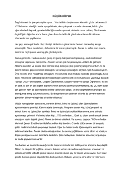 Devamı i&ccedil;in&hellip; - &Ouml;zel Ege Lisesi