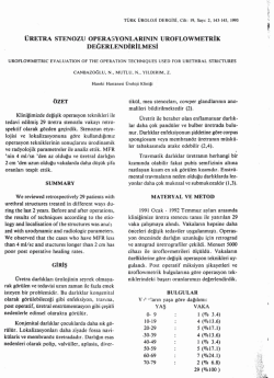 Tam Metin (PDF)