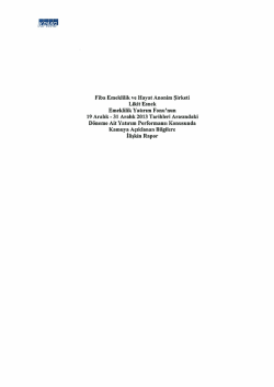 Fiba Emeklilik ve Hayat Anonim Şirketi Likit Esnek Emeklilik Yatırım