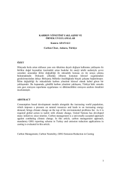 KARBON Y&Ouml;NETİMİ YAKLAŞIMI VE &Ouml;RNEK