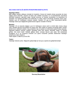 deli dana hastalığı