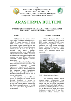 FARKLI YAŞTAKİ KIZIL&Ccedil;AM (Pinus brutia Ten.)
