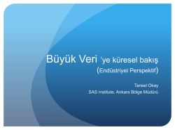 Tansel Okay, K&uuml;resel Bakış (End&uuml;striyel Perspektif)