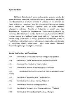 CV Türkçe - İstanbul Bilgi Üniversitesi