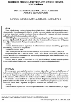 Tam Metin (PDF)