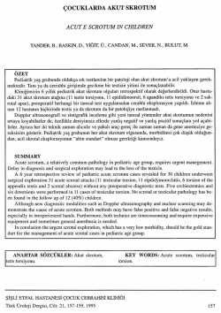 Tam Metin (PDF)