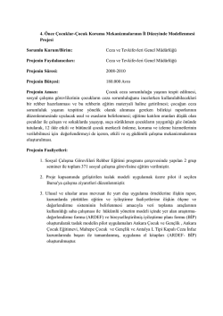 4. &Ouml;nce &Ccedil;ocuklar-&Ccedil;ocuk Koruma Mekanizmalarının İl D&uuml;zeyinde