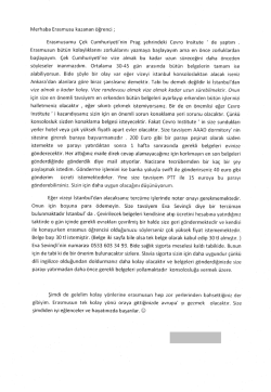 &Ccedil;ek Cumhuriyeti Değerlendirmesi