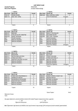 Matematik (FEF) &ndash; End&uuml;stri M&uuml;hendisliği &Ccedil;AP Ders Planı