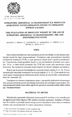 Tam Metin (PDF)