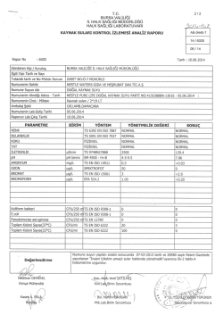 19,0 L Analiz Raporu - nestlepurelife.com.tr