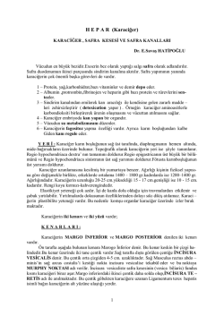 H E P A R  (Karaciğer)