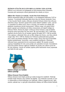 Silikon G&uuml;nl&uuml;k Hayatın Her Alanında Yer Alıyor