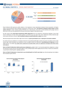 HLY MODEL PORTF&Ouml;Y II &ndash; &ldquo;D&Ouml;VİZ CİNSİ PORTF&Ouml;Y&rdquo;
