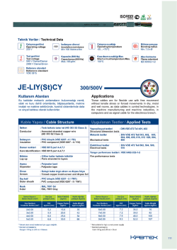 JE-LIY(St)CY