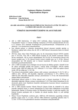 Toplumcu D&uuml;Ģ&uuml;nce Enstit&uuml;s&uuml; Değerlendirme Raporu T&Uuml;RKĠYE