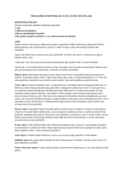&uuml;rolojide semptomlar ve muayene metotları semptomatoloji
