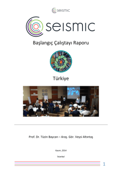 Başlangı&ccedil; &Ccedil;alıştayı Raporu-T&uuml;rk&ccedil;e