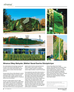 Silvanus Dikey Bah&ccedil;eler, Bitkileri Sanat Eserine