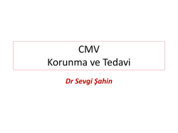 CMV