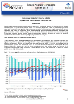 IsgucuGorunum2014M11