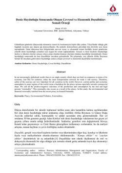 Deniz Haydutluğu Sonucunda Oluşan &Ccedil;evresel ve