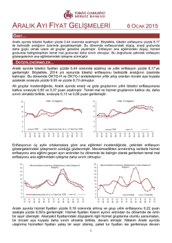 ARALIK AYI FİYAT GELİŞMELERİ 6 OCAK 2015