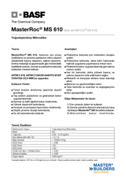 MasterRoc&reg; MS 610 (Eski adı MEYCO&reg; MS 610