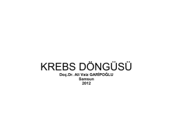 krebs d&ouml;ng&uuml;s&uuml;-nisan 2014