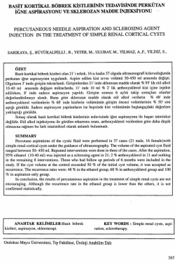 Tam Metin (PDF)