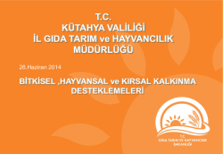 5. Bitkisel, Hayvansal ve Kırsal Kalkınma Destekleri