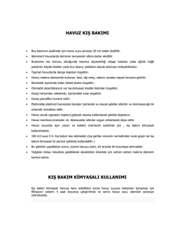 kış bakım kimyasalı kullanımı