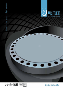 Untitled - Yiğitler Flanş