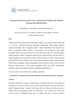 Bu PDF dosyasını indir
