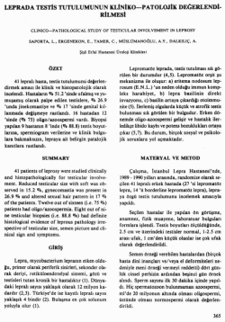 Tam Metin (PDF)