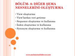 B&ouml;l&uuml;m 8 &ndash; DİĞER ŞEMA NESNELERİNİ OLUŞTURMA