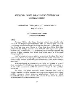 kemalpaşa (izmir) kiraz tarımı &uuml;zerinde bir