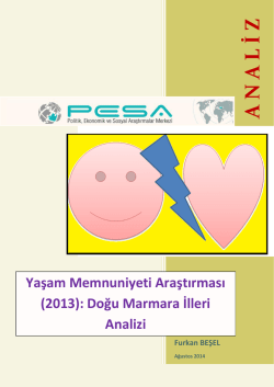 A N A L İ Z