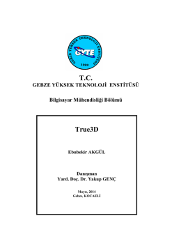 Lisans Bitirme Projesi Raporu Yazim Kilavuzu