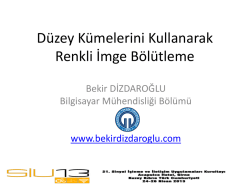 D&uuml;zey K&uuml;melerini Kullanarak Renkli İmge B&ouml;l&uuml;tleme