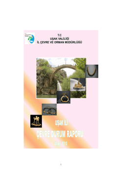 ġl &ccedil;evre durum raporu