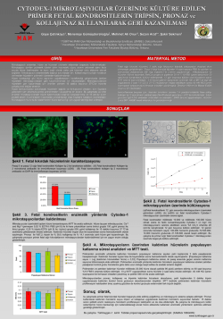 Poster (PDF - T&uuml;rkhaygen