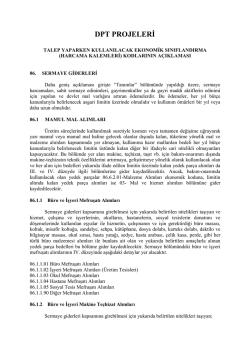DPT PROJELERİ