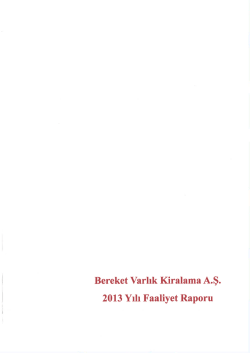 2013 Faaliyet Raporu